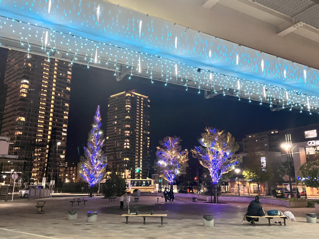 EBINA CITY LIGHTS 2024